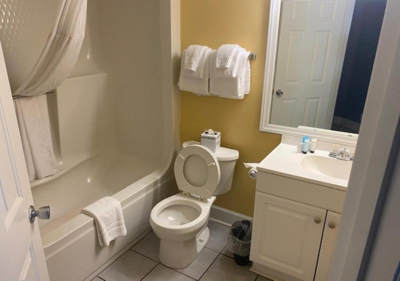 Studio-Suite mit Queensize-Bett - Nichtraucher