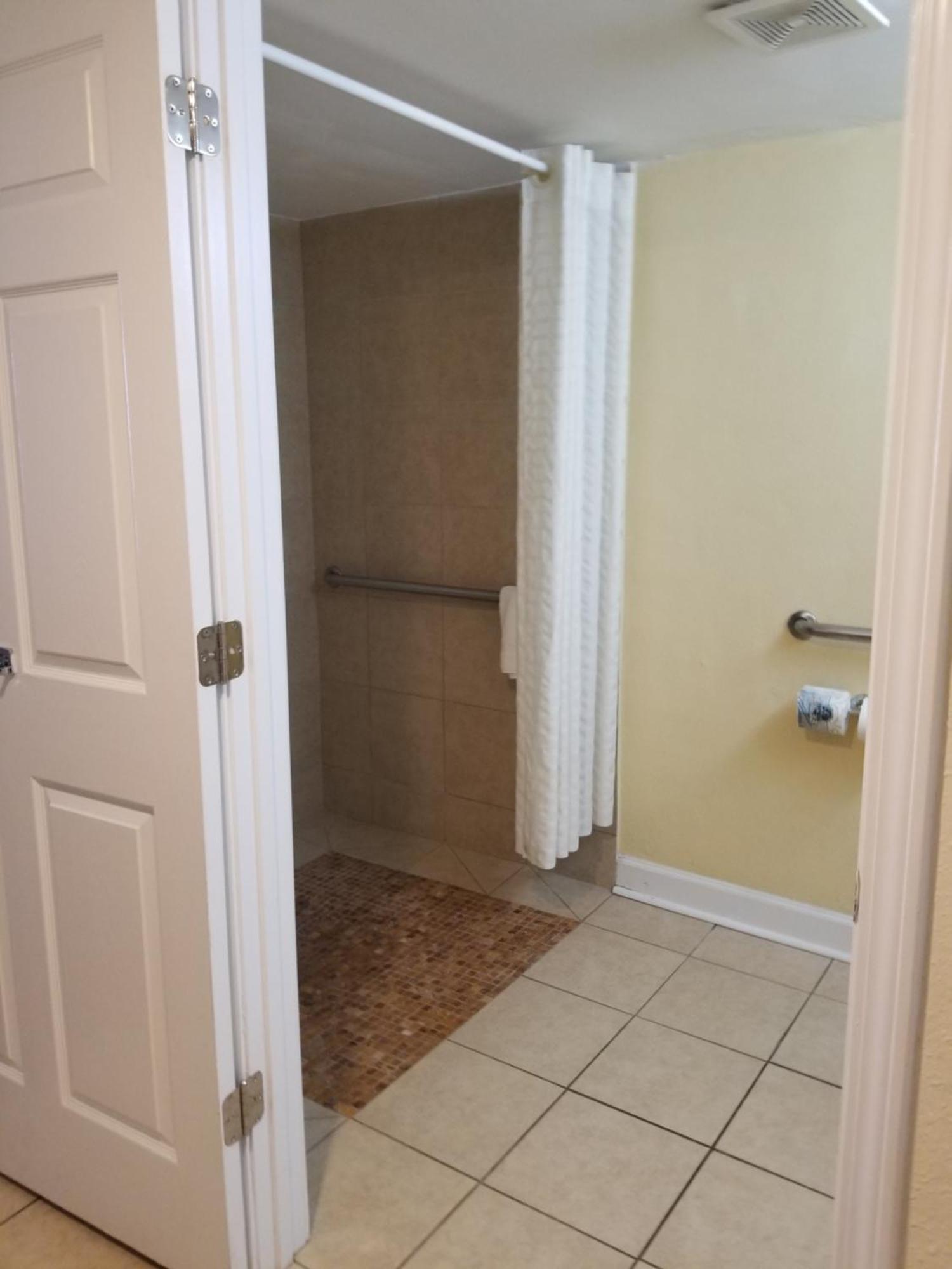 King Room with Mobility Accessible Roll-In Shower and Sofa Bed