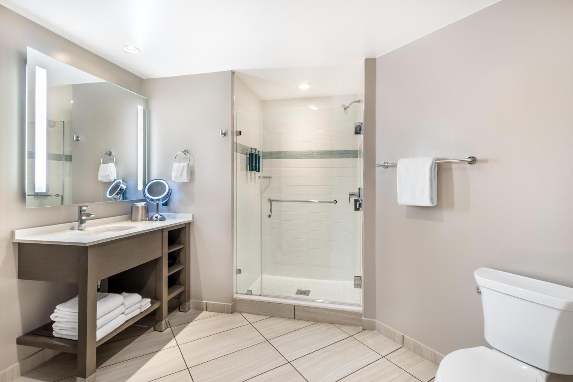 One-Bedroom King Suite with Sofa Bed