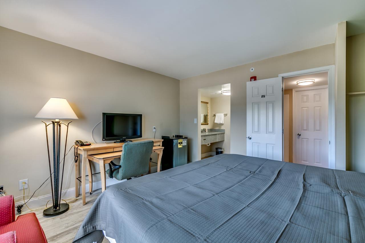 Suite mit Kingsize-Bett