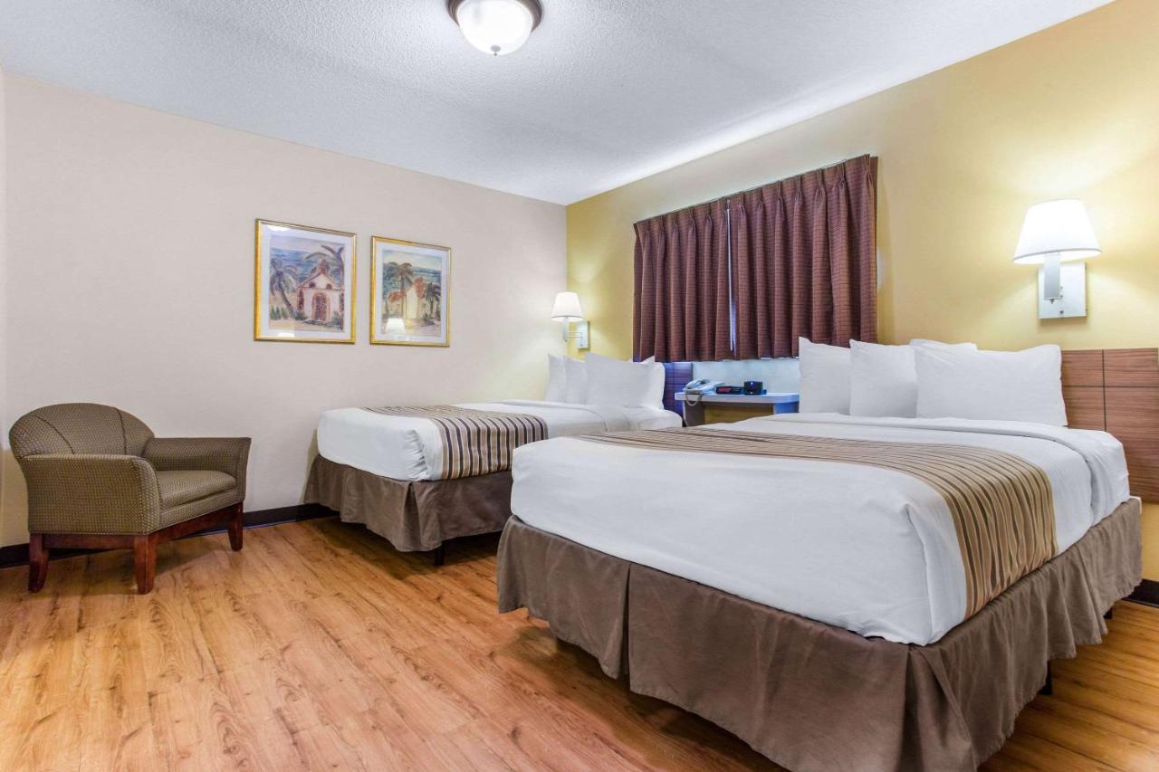 Deluxe Vierbettzimmer - Nichtraucher