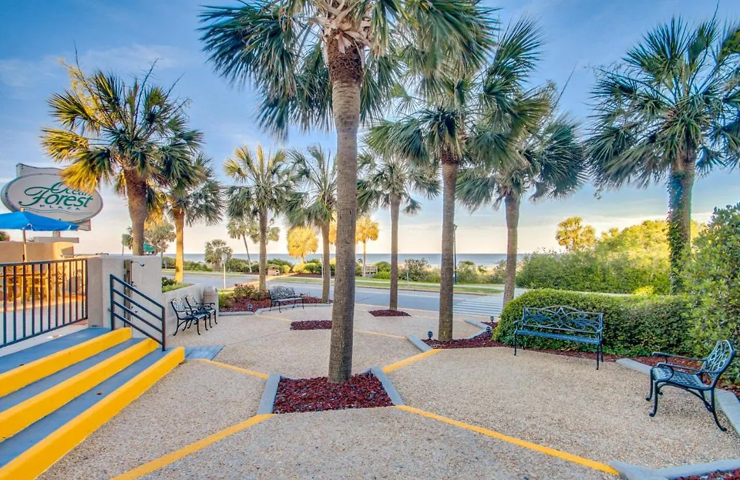Hosteeva Beach View 1Br Ocean Forest Plaza Condo-1