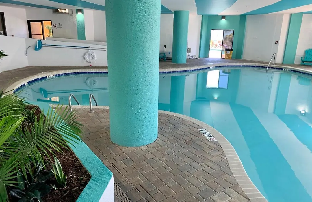 Absolute Beach Pet Friendly-1