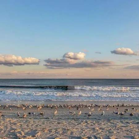 *Oceanfront* Queen Beds*Amenities*Compass Cove*S118-3
