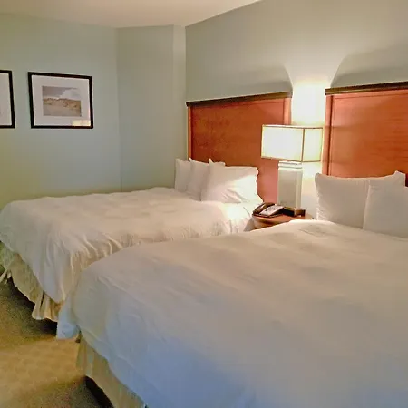 Magnificent Views From This 1Br 1Ba 11Th Floor Ocean Front Suite!-2
