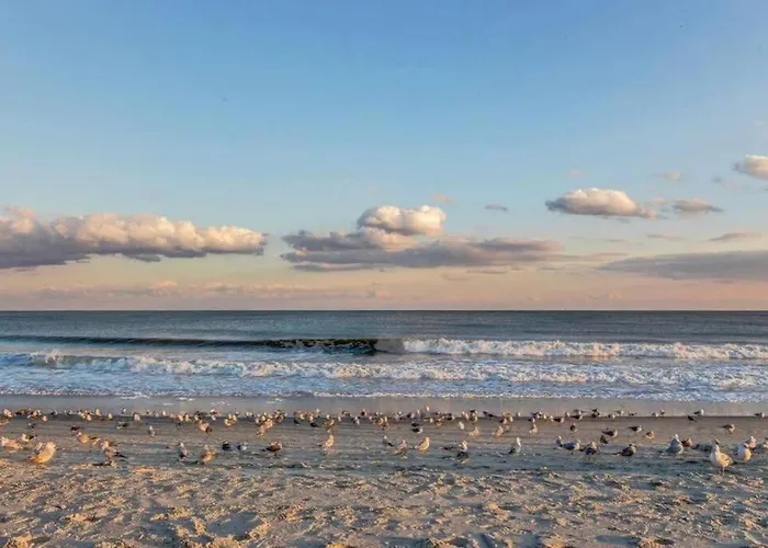 *Oceanfront* Queen Beds*Amenities*Compass Cove*S118