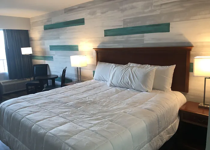 Pet friendly Gazebo Inn Oceanfront Myrtle Beach