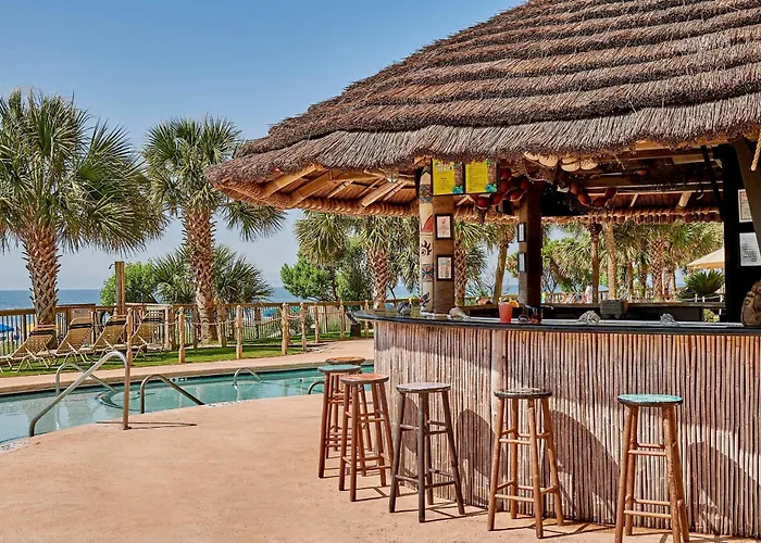 The Island 511
