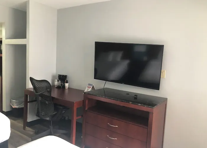 Pet friendly Gazebo Inn Oceanfront Myrtle Beach